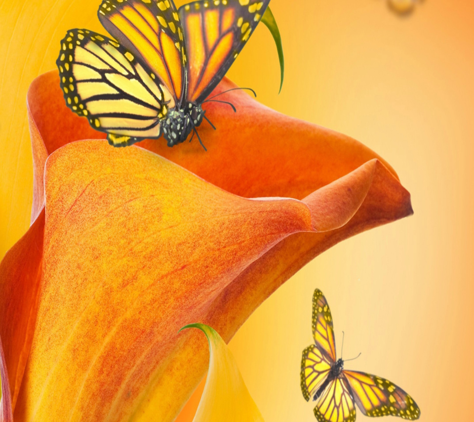 Beautiful Flower screenshot #1 960x854