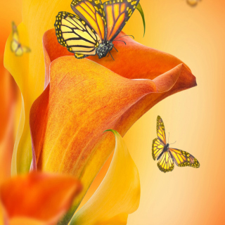 Beautiful Flower papel de parede para celular para iPad