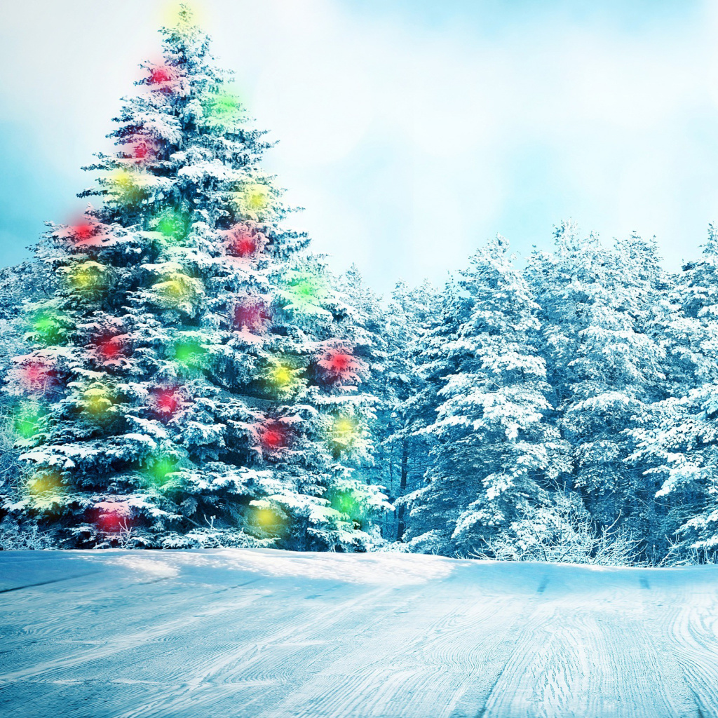 Fondo de pantalla Bright Christmas Tree in Forest 1024x1024