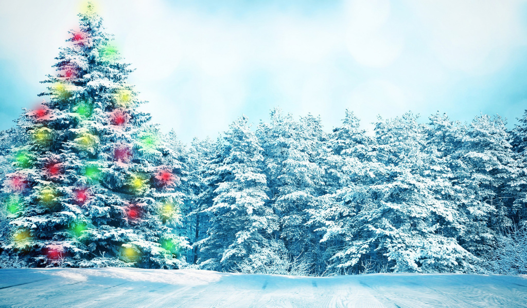 Fondo de pantalla Bright Christmas Tree in Forest 1024x600