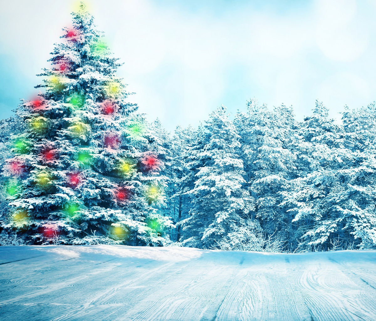 Screenshot №1 pro téma Bright Christmas Tree in Forest 1200x1024