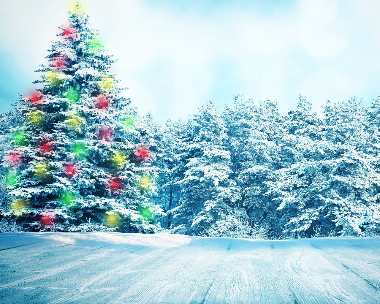 Обои Bright Christmas Tree in Forest 1280x1024