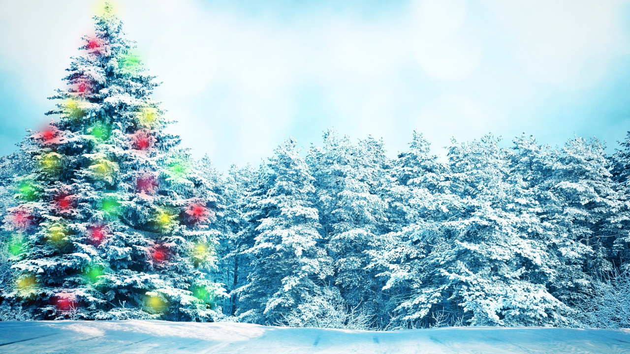 Fondo de pantalla Bright Christmas Tree in Forest 1280x720