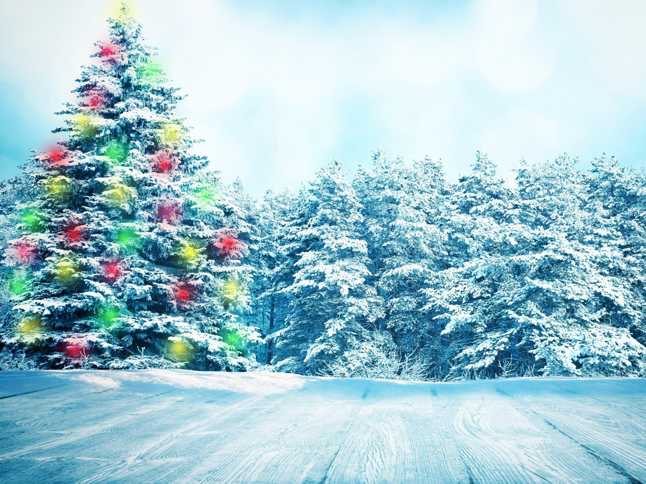 Das Bright Christmas Tree in Forest Wallpaper 1280x960