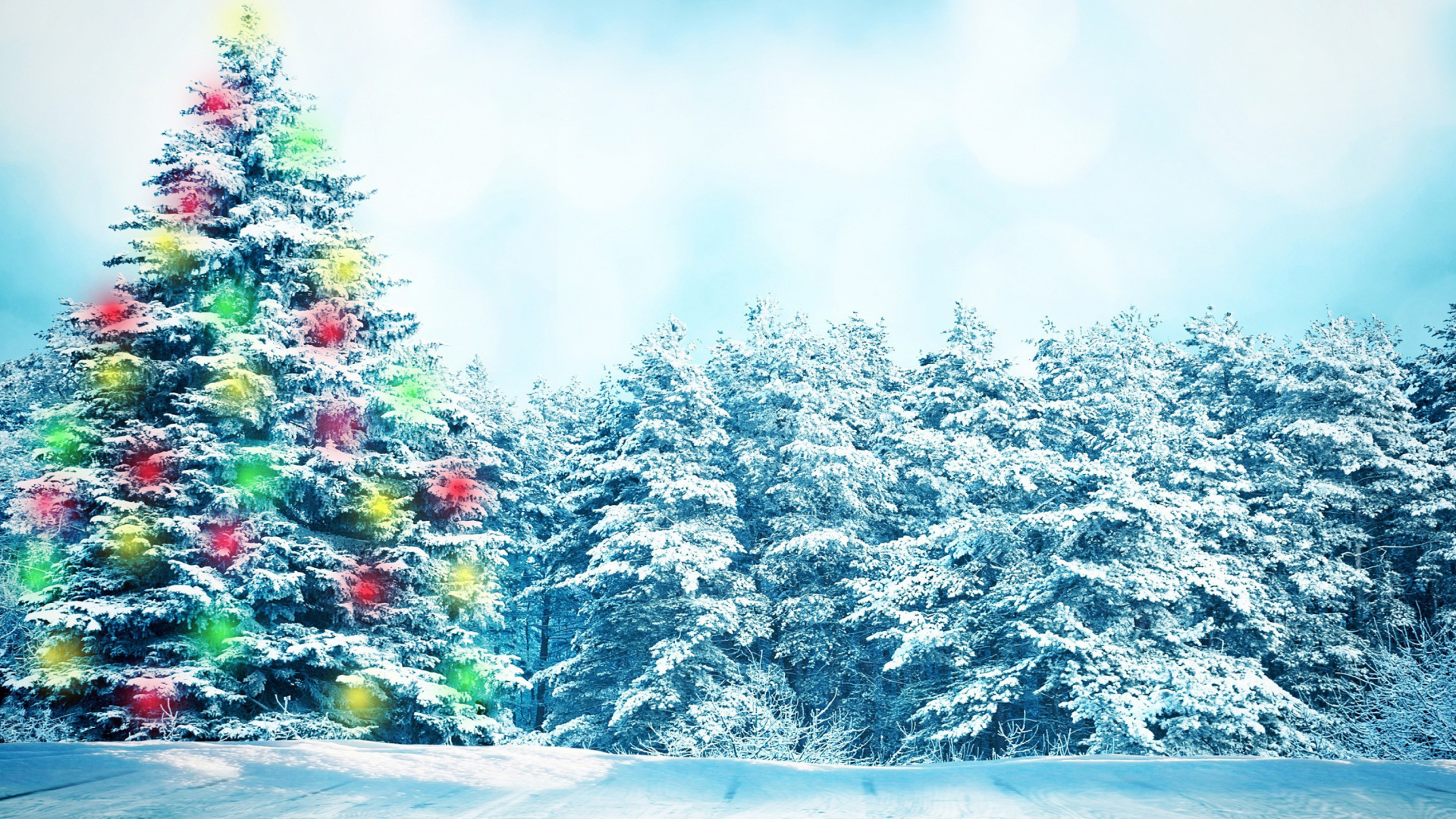 Das Bright Christmas Tree in Forest Wallpaper 1920x1080