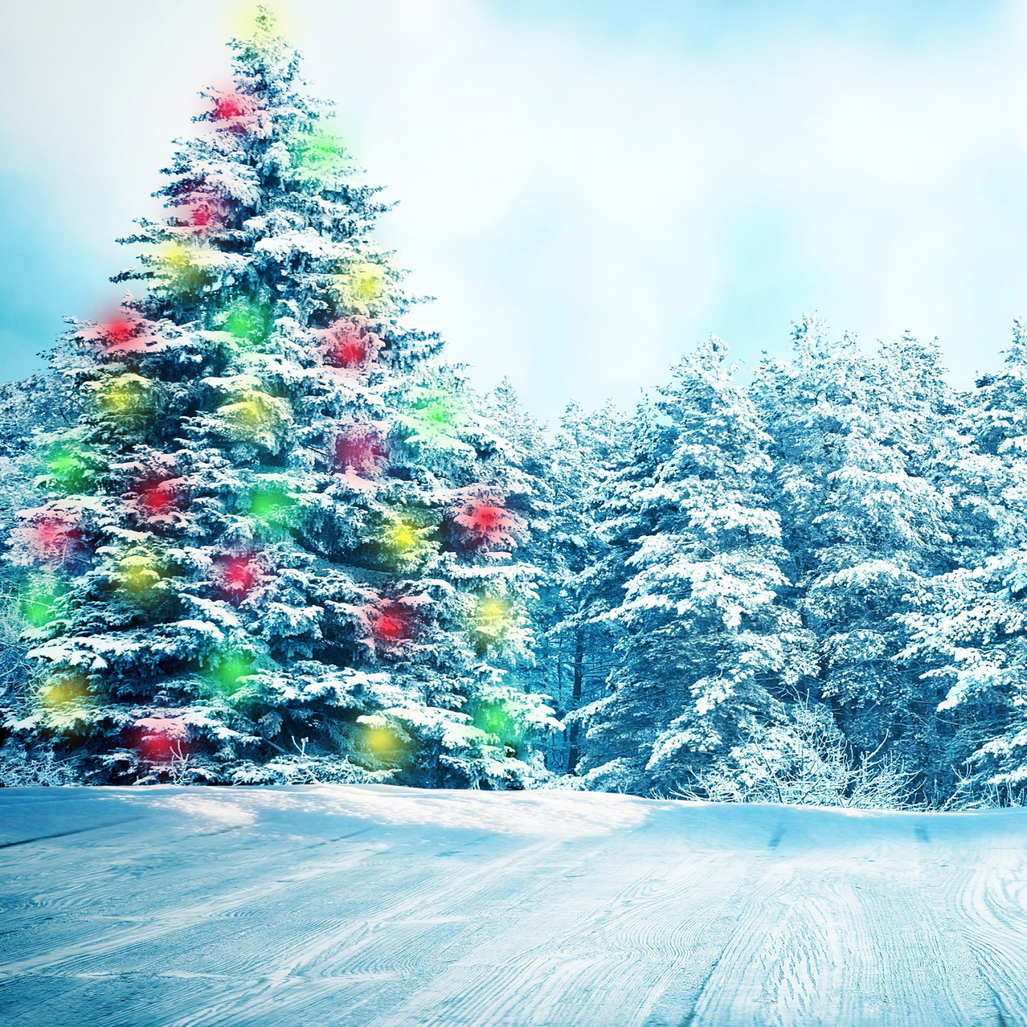 Sfondi Bright Christmas Tree in Forest 2048x2048