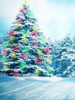Das Bright Christmas Tree in Forest Wallpaper 240x320