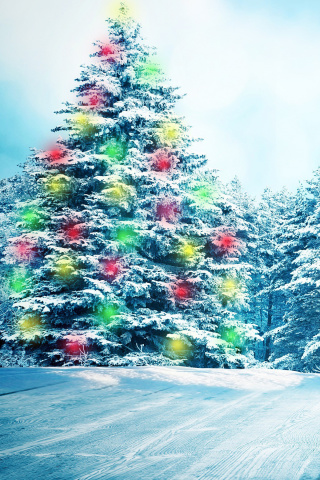 Fondo de pantalla Bright Christmas Tree in Forest 320x480