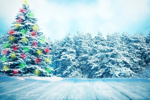 Обои Bright Christmas Tree in Forest 480x320