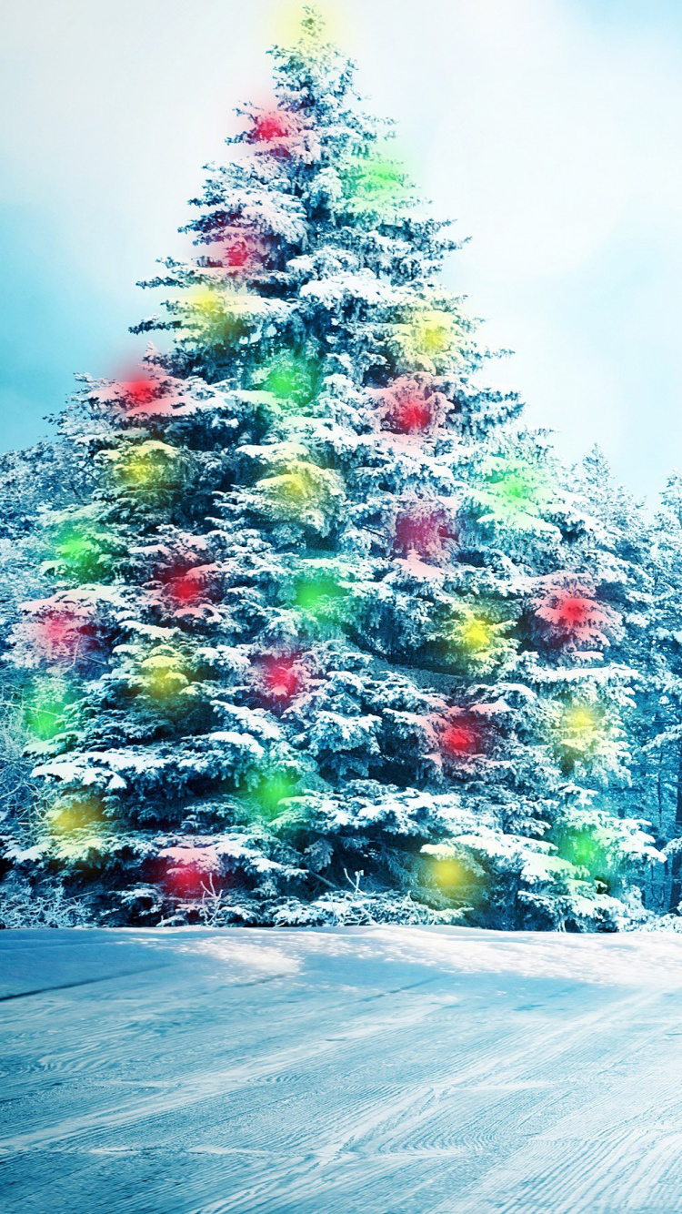 Sfondi Bright Christmas Tree in Forest 750x1334