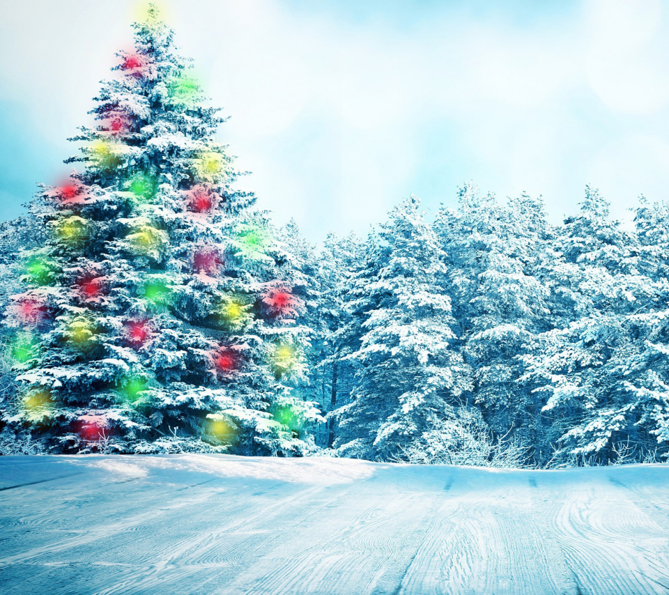 Screenshot №1 pro téma Bright Christmas Tree in Forest 960x854