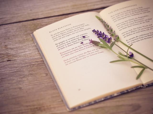 Poetry And Lavender wallpaper 640x480