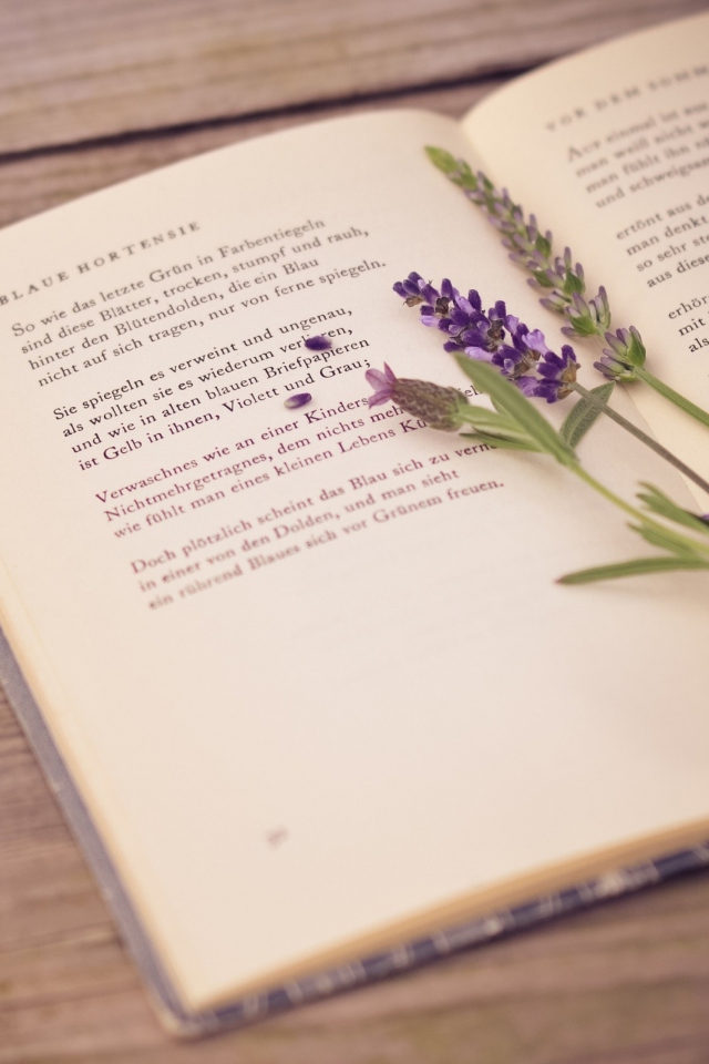 Poetry And Lavender wallpaper 640x960