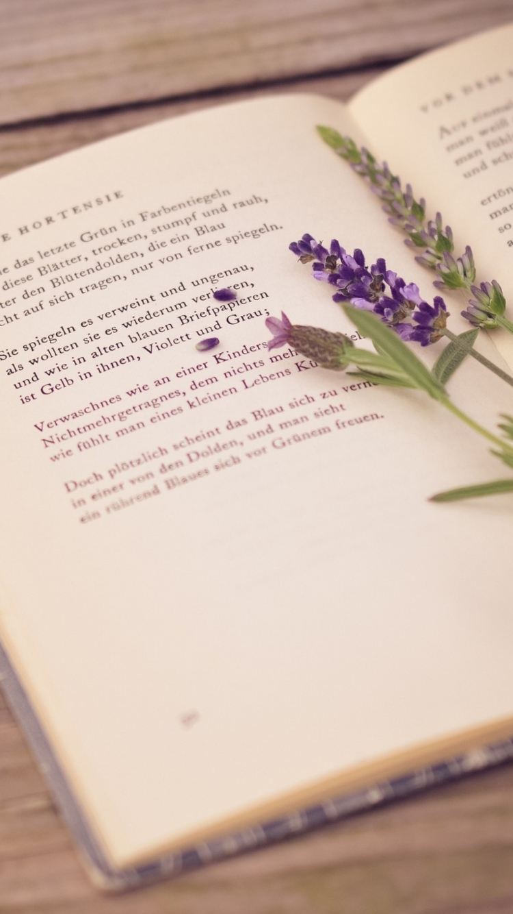 Обои Poetry And Lavender 750x1334