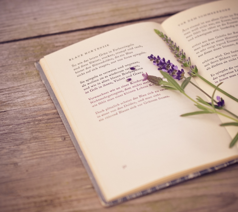 Poetry And Lavender screenshot #1 960x854