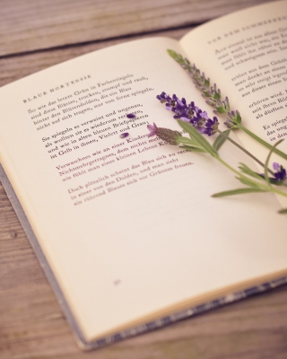 Poetry And Lavender - Obrázkek zdarma pro 640x1136