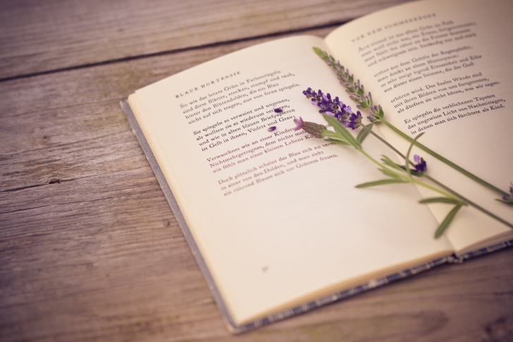 Poetry And Lavender wallpaper
