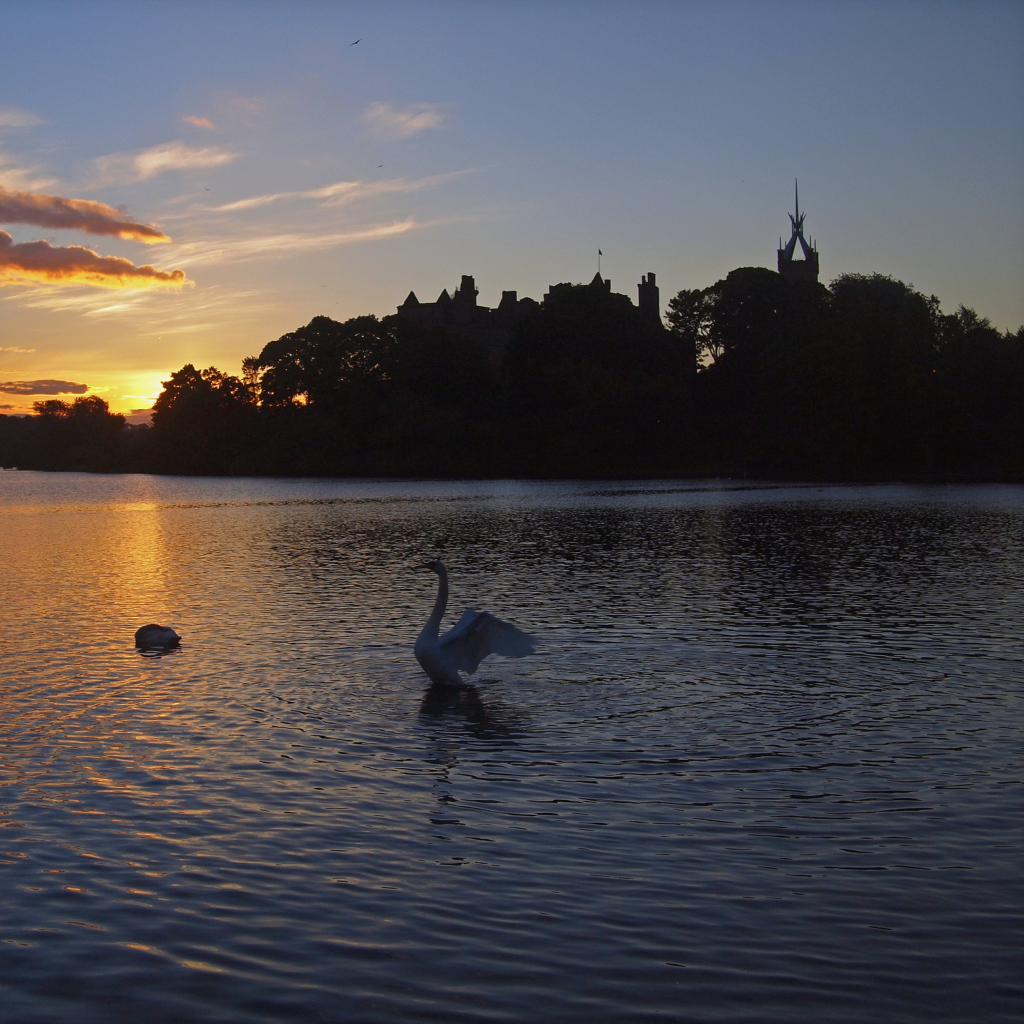 Sfondi Swan Lake At Sunset 1024x1024