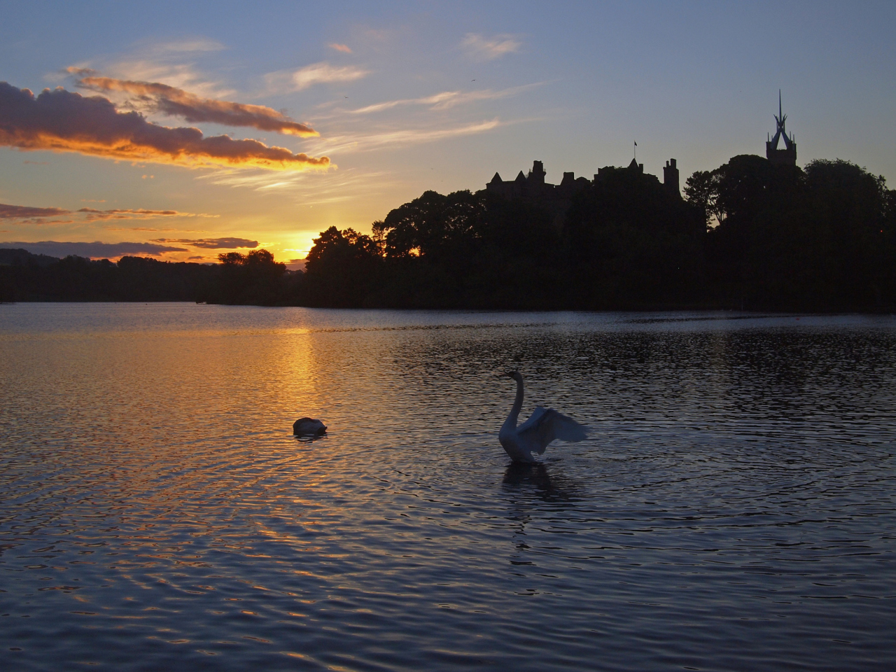 Das Swan Lake At Sunset Wallpaper 1280x960