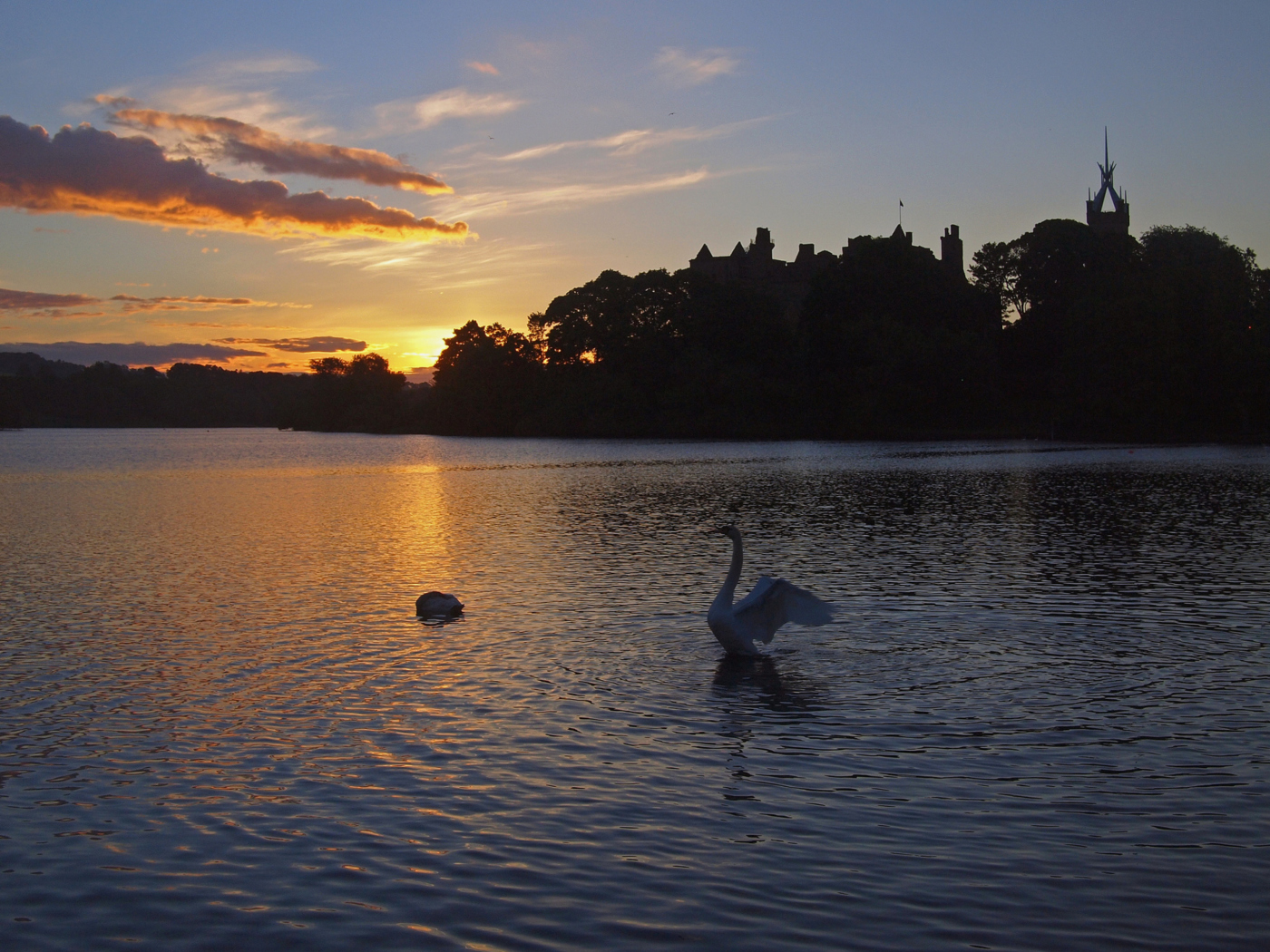 Das Swan Lake At Sunset Wallpaper 1400x1050