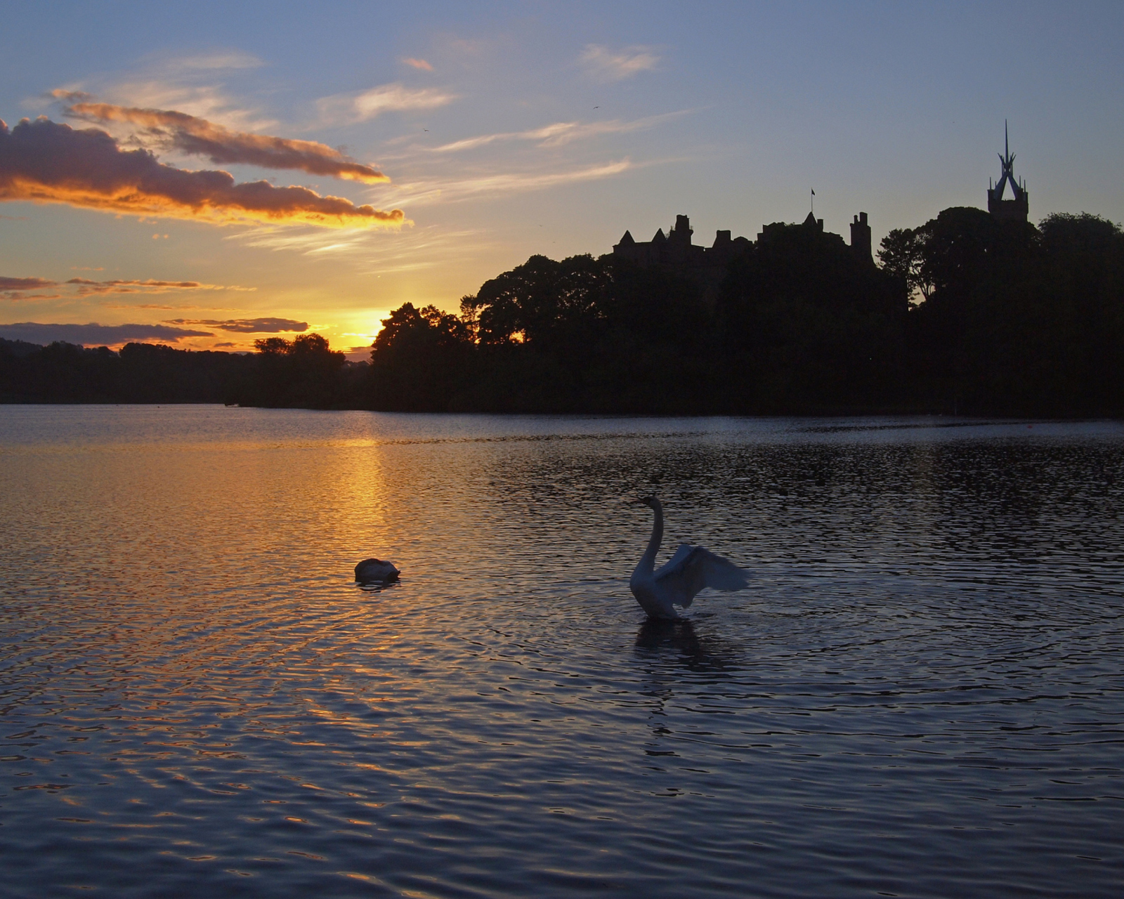 Обои Swan Lake At Sunset 1600x1280