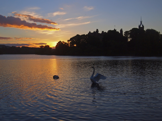 Обои Swan Lake At Sunset 640x480