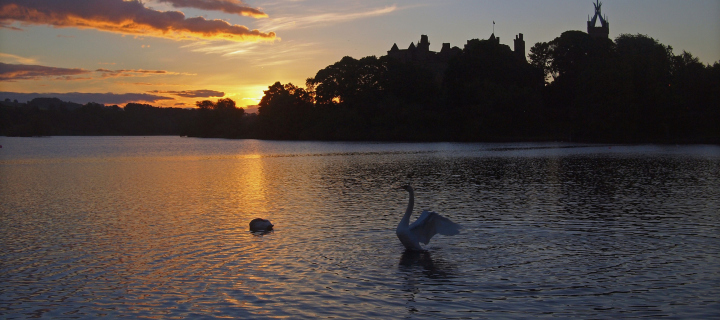 Sfondi Swan Lake At Sunset 720x320