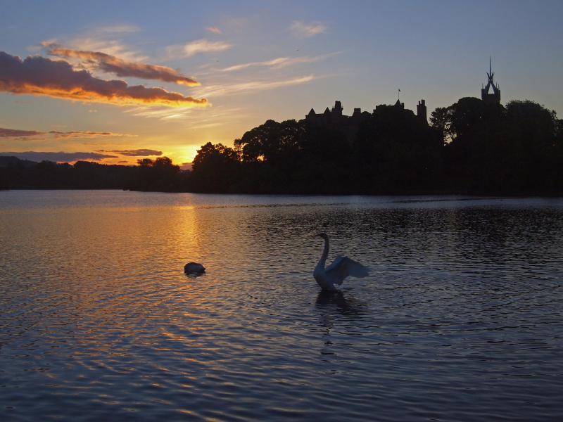 Sfondi Swan Lake At Sunset 800x600