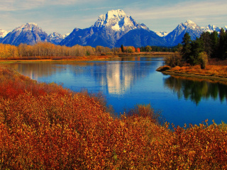 Das Autumn Landscape in Wisconsin Wallpaper 320x240