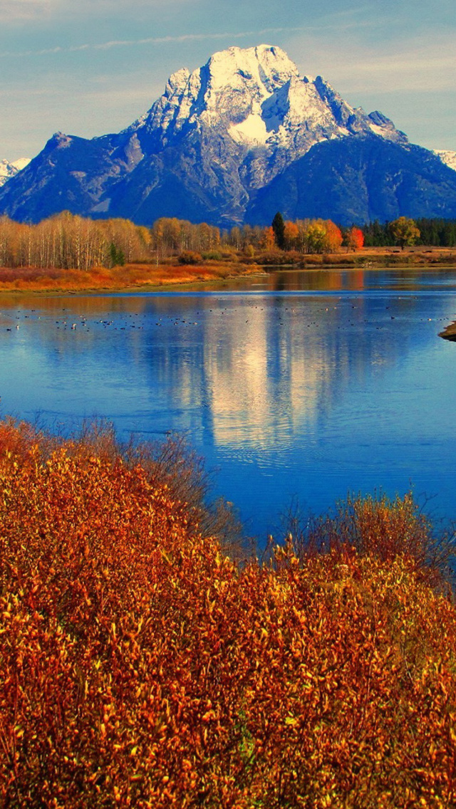 Autumn Landscape in Wisconsin screenshot #1 640x1136