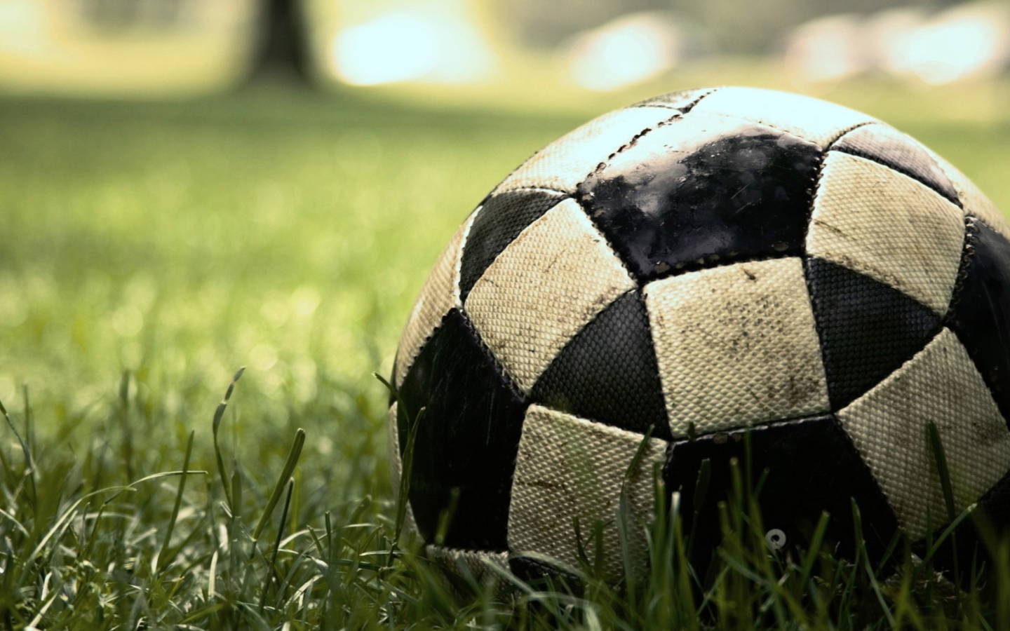 Soccer Ball wallpaper 1440x900