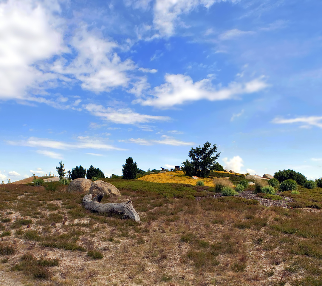 Обои Chile Prairie Landscape 1080x960