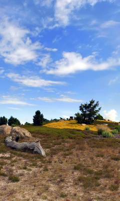 Chile Prairie Landscape screenshot #1 240x400