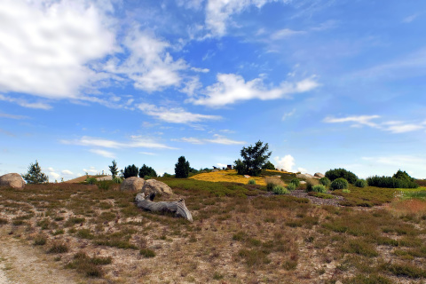 Chile Prairie Landscape screenshot #1 480x320