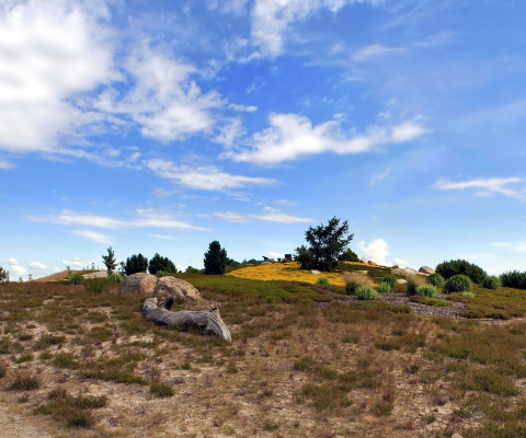Обои Chile Prairie Landscape 480x400