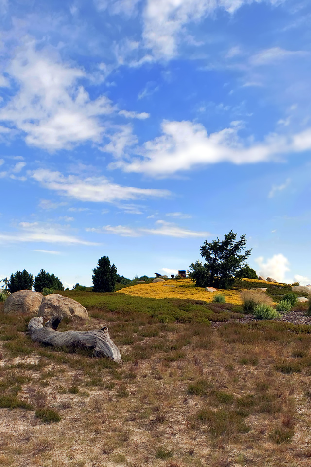 Fondo de pantalla Chile Prairie Landscape 640x960