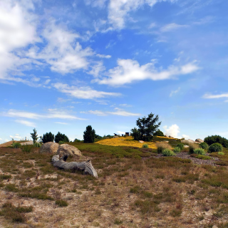 Kostenloses Chile Prairie Landscape Wallpaper für iPad 3