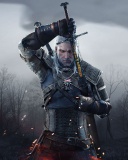 Обои The Witcher 3 Wild Hunt 128x160