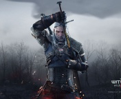 Fondo de pantalla The Witcher 3 Wild Hunt 176x144