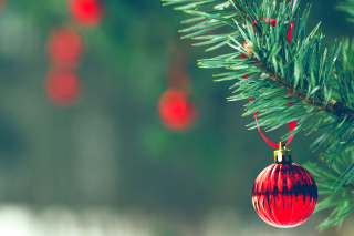 Red Christmas Tree Ball - Obrázkek zdarma pro LG P970 Optimus