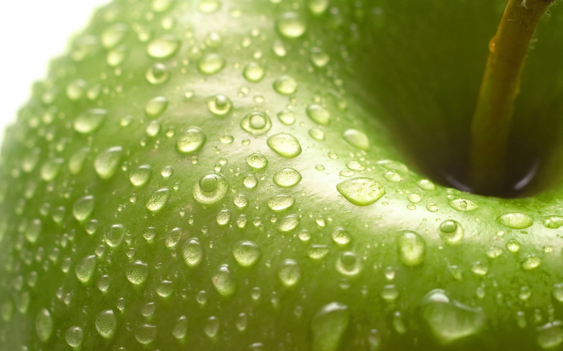 Screenshot №1 pro téma Green Apple Close Up 1920x1200