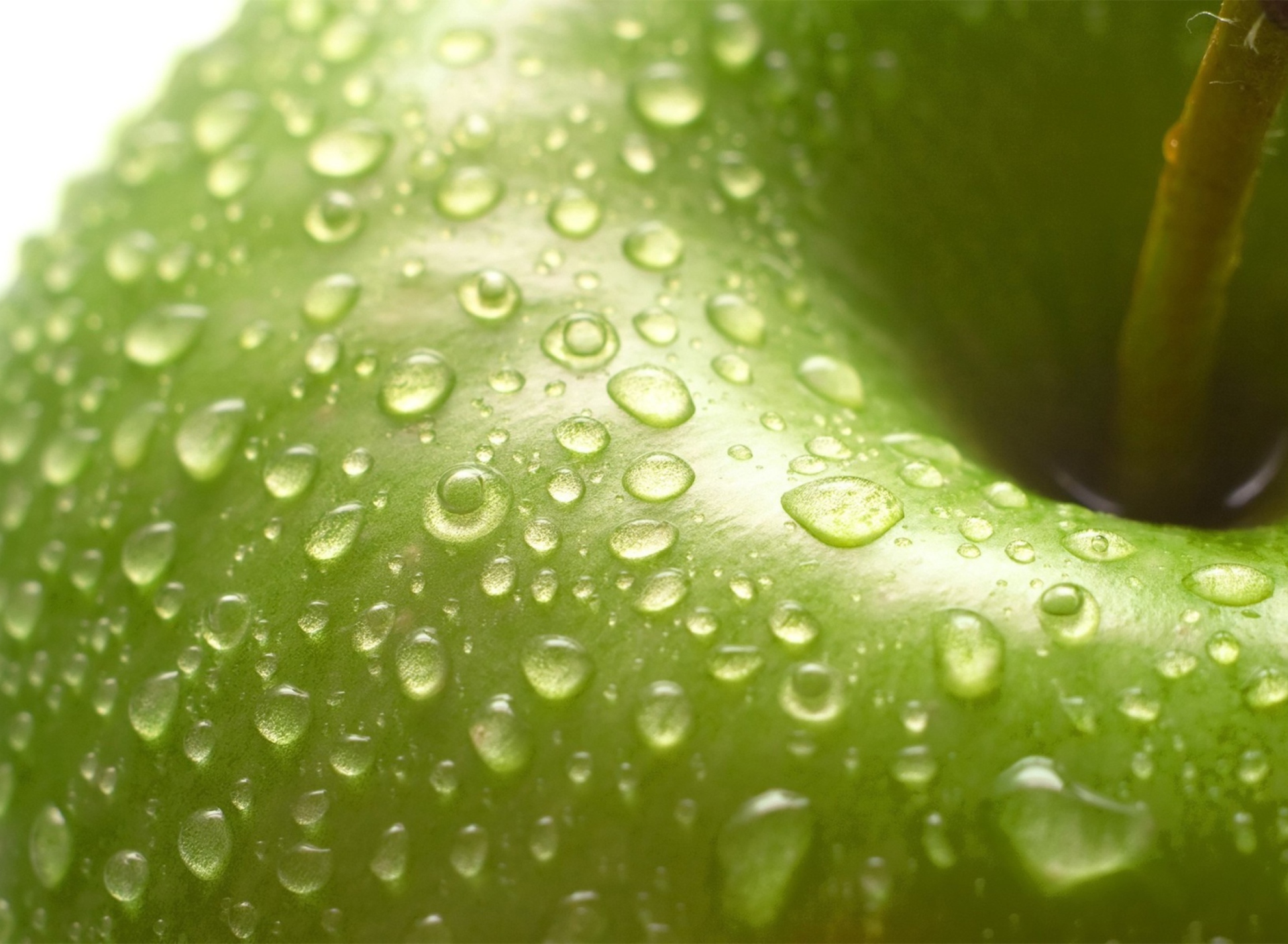 Das Green Apple Close Up Wallpaper 1920x1408