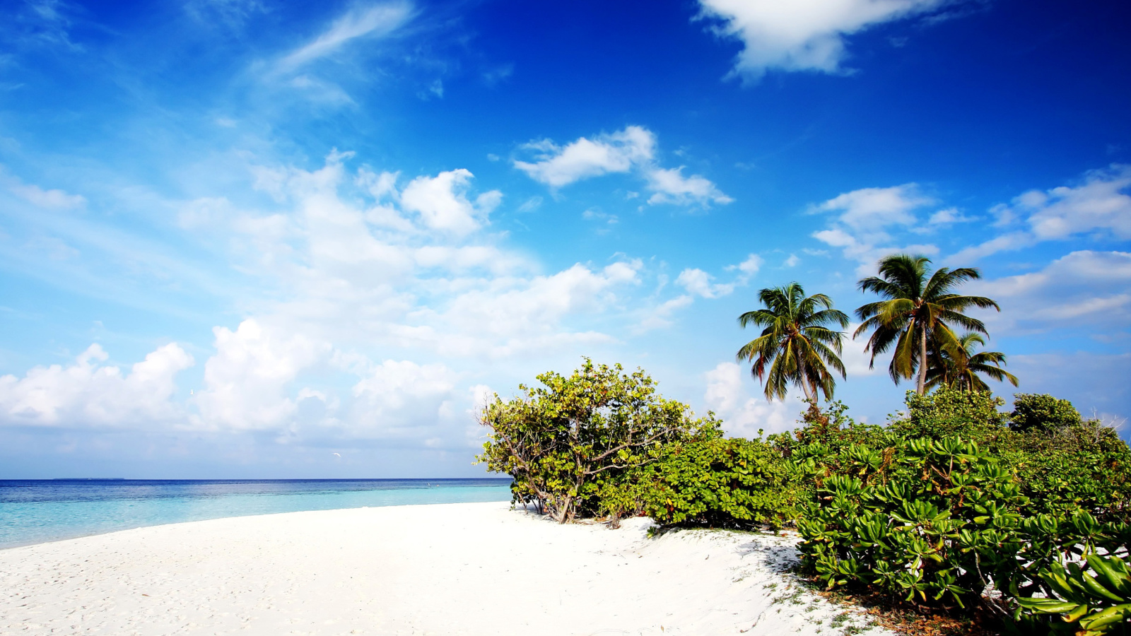 Motu Tofari Paradise Beach screenshot #1 1600x900