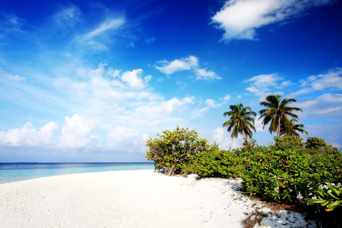 Motu Tofari Paradise Beach screenshot #1 480x320