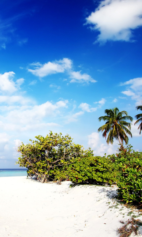 Motu Tofari Paradise Beach screenshot #1 480x800