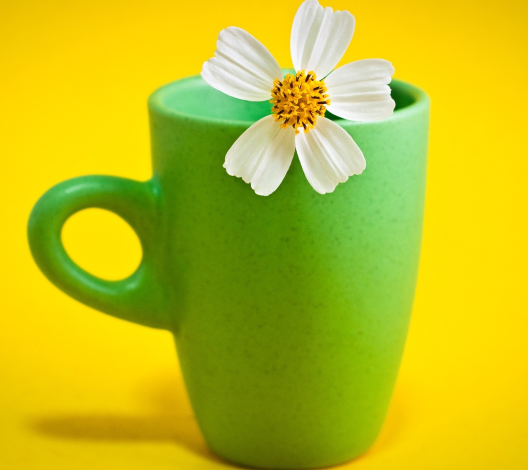 Das Flower Cup Wallpaper 1080x960