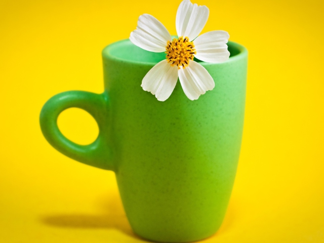 Das Flower Cup Wallpaper 640x480