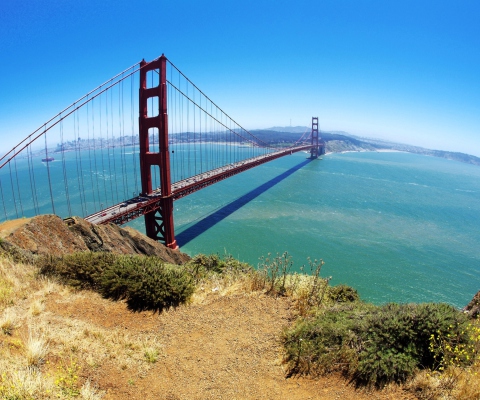 Golden Gate Bridge wallpaper 480x400