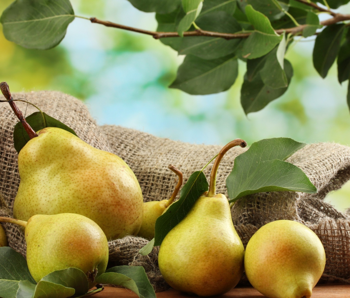 Das Fresh Pears With Leaves Wallpaper 1200x1024