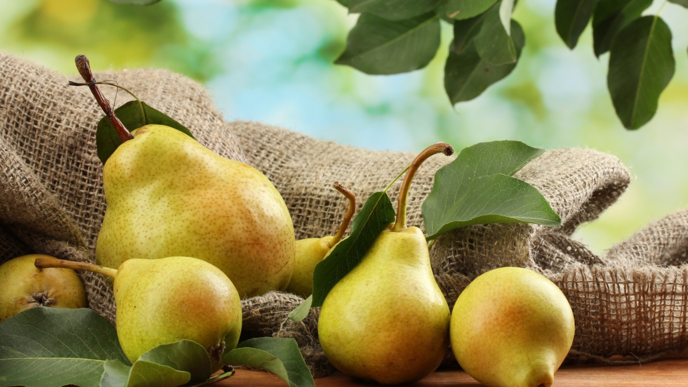 Sfondi Fresh Pears With Leaves 1366x768